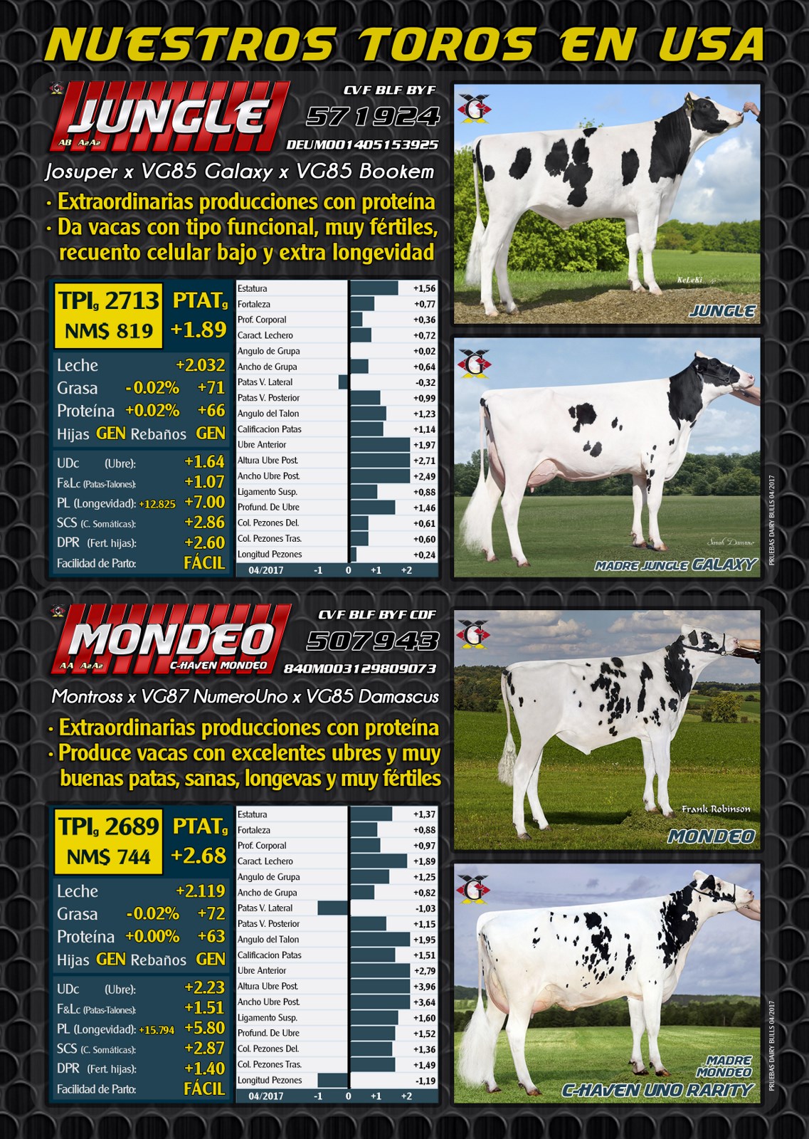 BAS&middot;GGI - Toros USA 2017